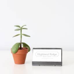 Modern Metal Business Card Holder For Desk - Business Card Holder Office Organizer Minimal Desk Decor Modern Cards Display - thumbnail 3