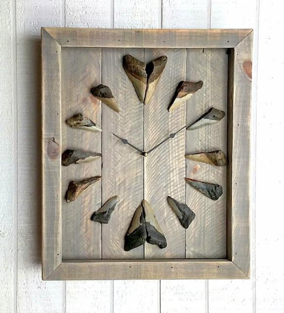 Megalodon Tooth Wall Clock - Cl2117-Dw-Meg