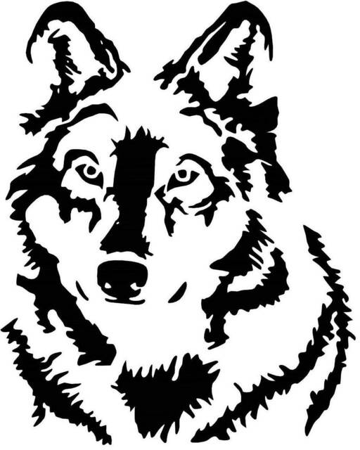 Large 21 X18 Car Bonnet Side Sticker Decal Wall Art