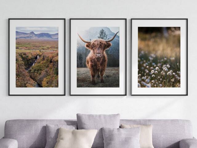 Highland Cow Set Of 3 Unframed Wall Print, Scottish Highlands Landscape, Photographic Home D??cor, Waterfall, Horned Cow, Cottongrass - image 1
