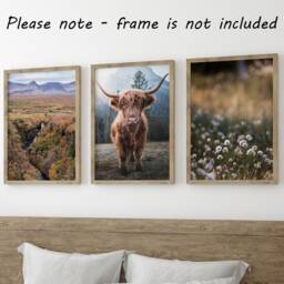 Highland Cow Set Of 3 Unframed Wall Print, Scottish Highlands Landscape, Photographic Home D??cor, Waterfall, Horned Cow, Cottongrass - thumbnail 3