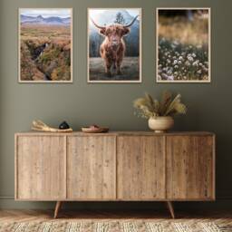 Highland Cow Set Of 3 Unframed Wall Print, Scottish Highlands Landscape, Photographic Home D??cor, Waterfall, Horned Cow, Cottongrass - thumbnail 2