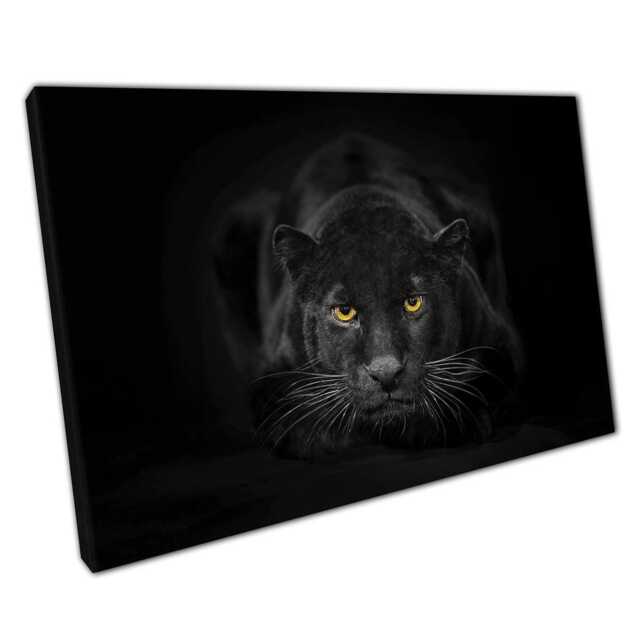 Majestic Black Panther Wall Art Stunning Wildlife Photography Canvas Print For Home & Office Decor - image 1
