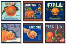Vintage Orange Crate Labels Set Of 6 Art Prints Citrus Fruit California - thumbnail 1