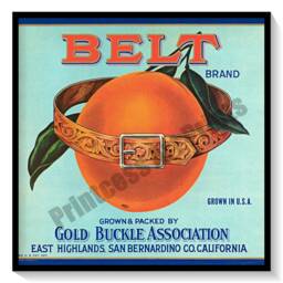 Vintage Orange Crate Labels Set Of 6 Art Prints Citrus Fruit California - thumbnail 2