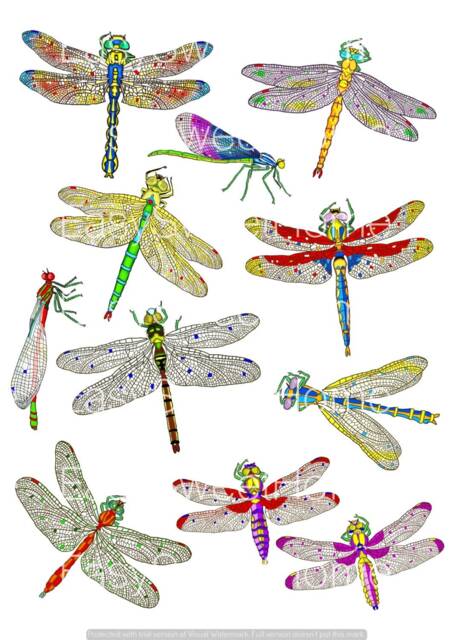 Dragonfly Wall Decals 11-Set, Home D??cor, Kitchen For Furniture, Tiles, Walls, Hand-Painted Interior By Easysweethome - image 1
