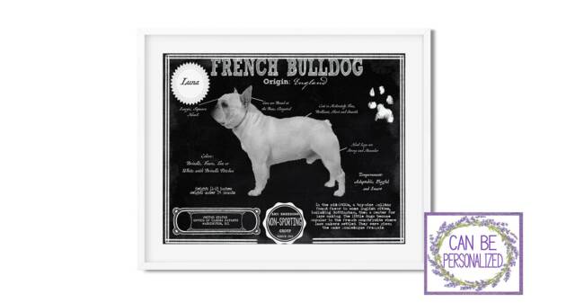 French Bulldog Antique Architecture Patent Drawing Style Print/Wall Art Bulldog Gift/ Akc Breed Info/Dog Print/ Home D??cor - image 1