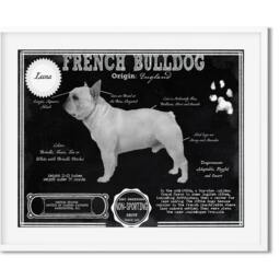 French Bulldog Antique Architecture Patent Drawing Style Print/Wall Art Bulldog Gift/ Akc Breed Info/Dog Print/ Home D??cor - thumbnail 2