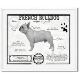French Bulldog Antique Architecture Patent Drawing Style Print/Wall Art Bulldog Gift/ Akc Breed Info/Dog Print/ Home D??cor - thumbnail 3