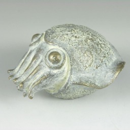 Cuttlefish/Squid Bronze Sculpture - Yolk Art Sculpture - thumbnail 3