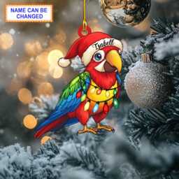 Custom Name Parakeet Bird With Santa Hat & Christmas Lights Ornament, Tree Hanging Decor, Flat 2D Ornament