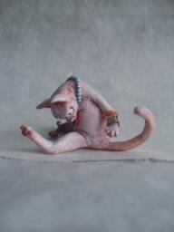The Hairless Cleaner Cat - thumbnail 1