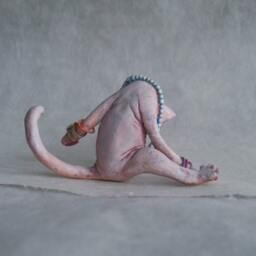 The Hairless Cleaner Cat - thumbnail 3