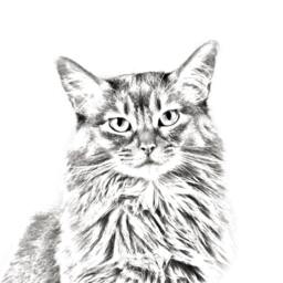 Somali Cat - Wooden Stand For Candles/Pens With The Image Of A New Collection - thumbnail 2