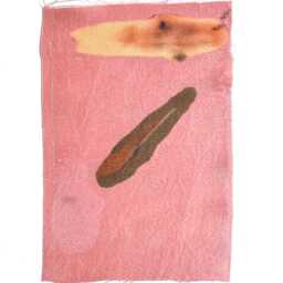 "Botanical Dye Painting On Silk Abstract Textile Artwork, Framed 11x14 - ""Madder With Osage Iii" - thumbnail 3