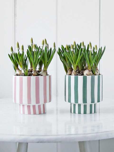 stripe Plant Pot - image 1