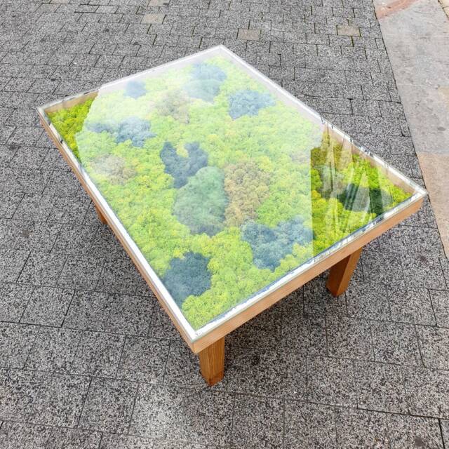Vegetable Coffee Table - image 1