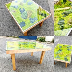 Vegetable Coffee Table - thumbnail 2
