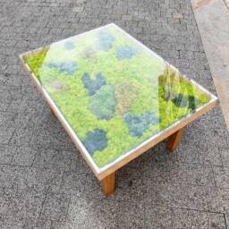 Vegetable Coffee Table - thumbnail 1