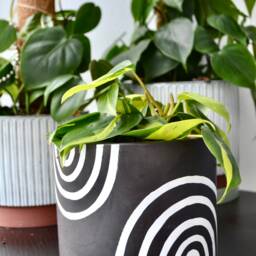 Handpainted Abstract Rainbow Planter Boho Decor With Drainage - thumbnail 3