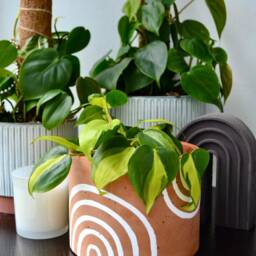 Handpainted Abstract Rainbow Planter Boho Decor With Drainage - thumbnail 2