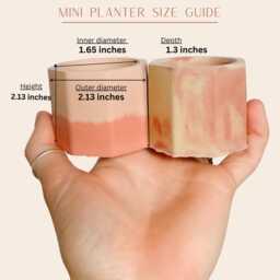 Cement Planter/ Mini Hexagonal Pot/Modern/ Minimal Planters/Anthro Dupe/ Colorful Airplant Pot/ Spring Decor/ Tealight - thumbnail 2
