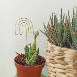 Funky Rainbow Plant Trellis For Indoor Plant/Accessories/ Stake Potted Stake/ Support/Plant Stick /Retro Planter - thumbnail 2