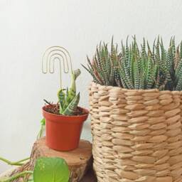 Funky Rainbow Plant Trellis For Indoor Plant/Accessories/ Stake Potted Stake/ Support/Plant Stick /Retro Planter - thumbnail 3