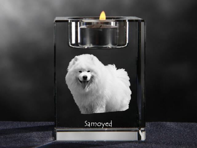 Samoyed, Crystal Candlestick With Dog, Souvenir, Decoration, Limited Edition, Collection - image 1