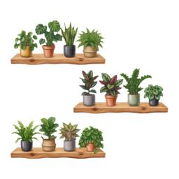 Plant Shelf Wall Stickers, Potted House Plants On Rustic Wooden Floating Shelves, 3D Effect Decals, Monstera & Fern Decor, 1 2 Or 3