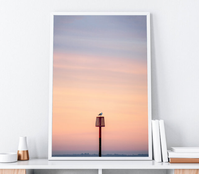 Sunrise Seagull - A4 Bridlington Print, Bridlington, Ocean, Wildlife Prints, Beach, Beach Wall Art, Seascape, Seagull, Bird - image 1
