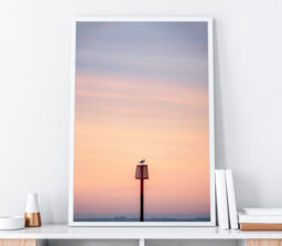 Sunrise Seagull - A4 Bridlington Print, Bridlington, Ocean, Wildlife Prints, Beach, Beach Wall Art, Seascape, Seagull, Bird - thumbnail 1