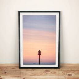 Sunrise Seagull - A4 Bridlington Print, Bridlington, Ocean, Wildlife Prints, Beach, Beach Wall Art, Seascape, Seagull, Bird - thumbnail 2