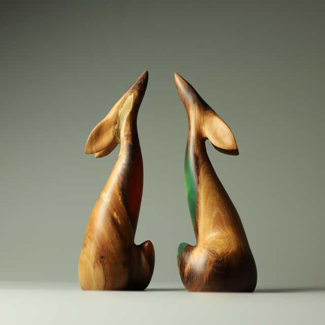 Duo Fox - 28+29 - image 1