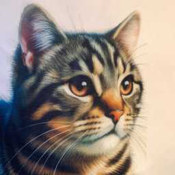 Tabby Cat Cushion Cover Lover Home Decor - 40x40 cm - thumbnail 3