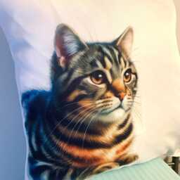 Tabby Cat Cushion Cover Lover Home Decor - 40x40 cm - thumbnail 2