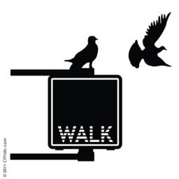 Nyc Wall Decal - Walk Sign For Pedestrian With Pigeon - thumbnail 2
