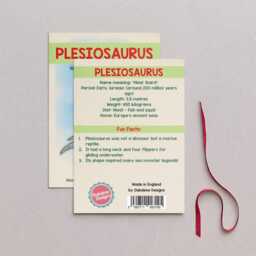 Wooden Plesiosaurus Dinosaur Christmas Tree Decoration, Birch Plywood Lover Gift, Keepsake, Watercolour Art - thumbnail 2