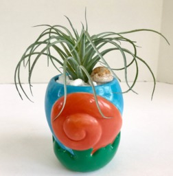 Decorative Planter With Artificial Green Grass Succulent Plant in A Ceramic Seashell - thumbnail 1