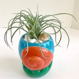 Decorative Planter With Artificial Green Grass Succulent Plant in A Ceramic Seashell - thumbnail 2