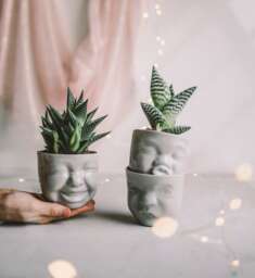 Face Planter Set - 3 - Gray Porcelain Succulent Pots, Funny Desk Decor - thumbnail 1