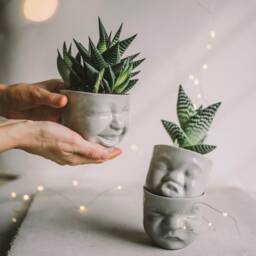 Face Planter Set - 3 - Gray Porcelain Succulent Pots, Funny Desk Decor - thumbnail 2