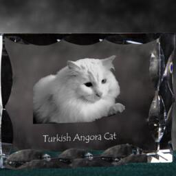Turkish Angora, Cubic Crystal With Cat, Souvenir, Decoration, Limited Edition, Collection - thumbnail 3