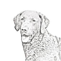 Chesapeake Bay Retriever - Wooden Stand For Candles/Pens With The Image Of A Dog New Collection - thumbnail 2