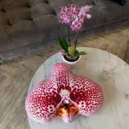 Orchid Shape Pillow, Small Size Flower Decor, Flower Accent Cushion - thumbnail 2