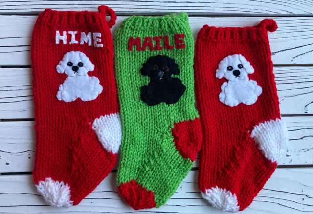 Hand Knit Dog Christmas Stocking, Bichon Frise, Maltese, Havanese - image 1