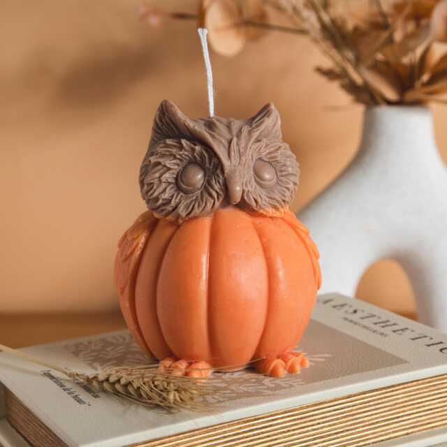Handmade Owl Pumpkin Candle, Fall Festive Scented Soy Candle - image 1