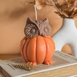 Handmade Owl Pumpkin Candle, Fall Festive Scented Soy Candle - thumbnail 1