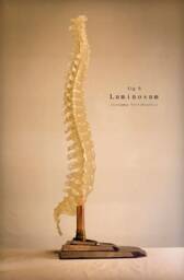 Luminosum - Columna Vertebralis
