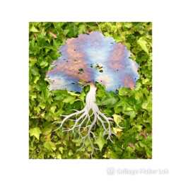 Rainbow Tree Of Life Metal Wall Art, Oak Plaque - thumbnail 1